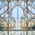 five palm jumeirah dubai