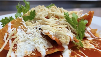 hotel star express puebla central capu