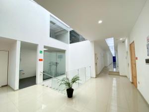 hotel star express puebla central capu