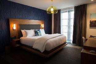 the frances modern inn