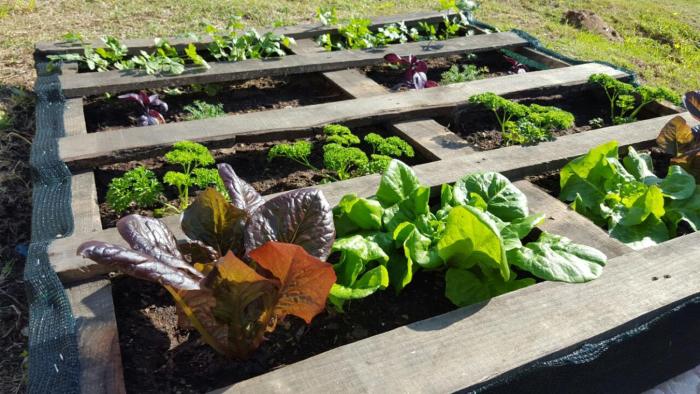 the backpack shack hostel