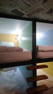 the backpack shack hostel