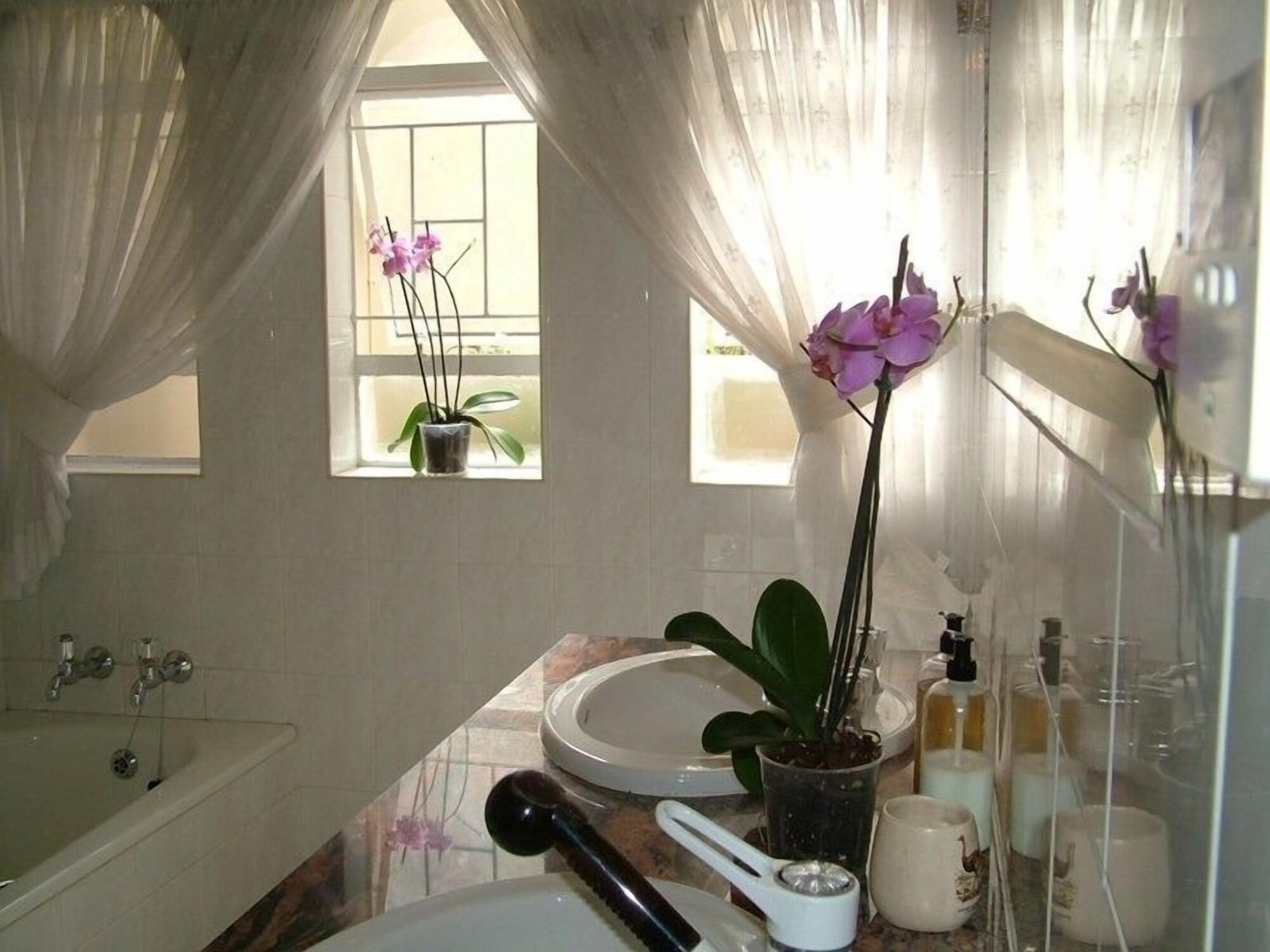 bay tree guest house