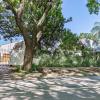 bay tree guest house