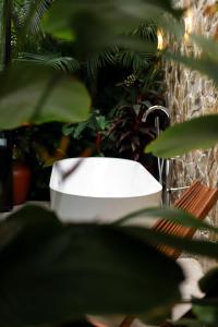 san tropico boutique hotel and peaceful escape