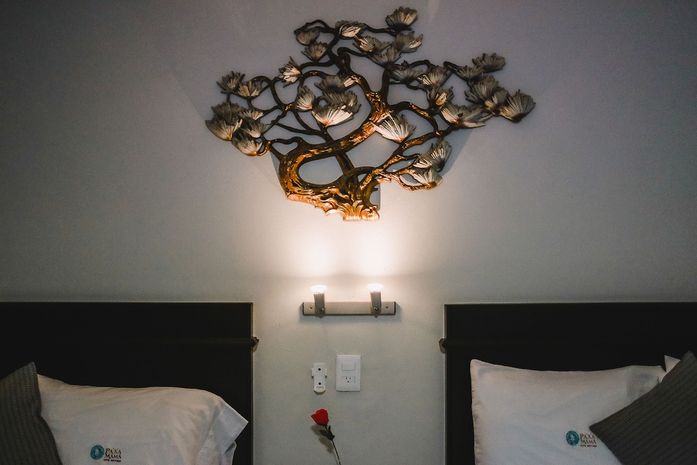 paxa mama hotel boutique cancun