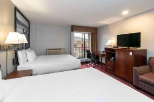 quality inn and suites