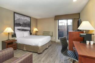 quality inn and suites
