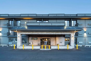 quality inn and suites