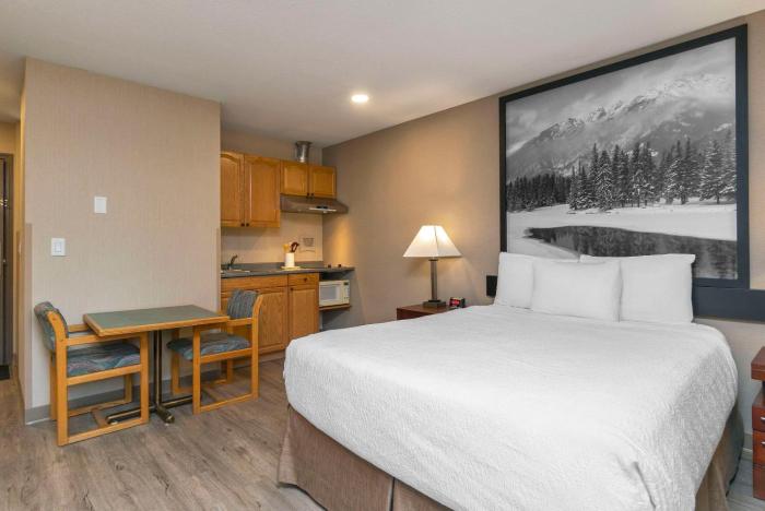 quality inn and suites