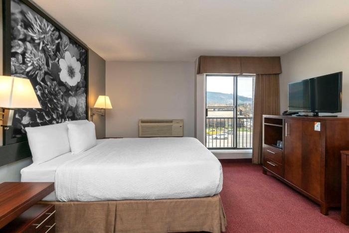quality inn and suites