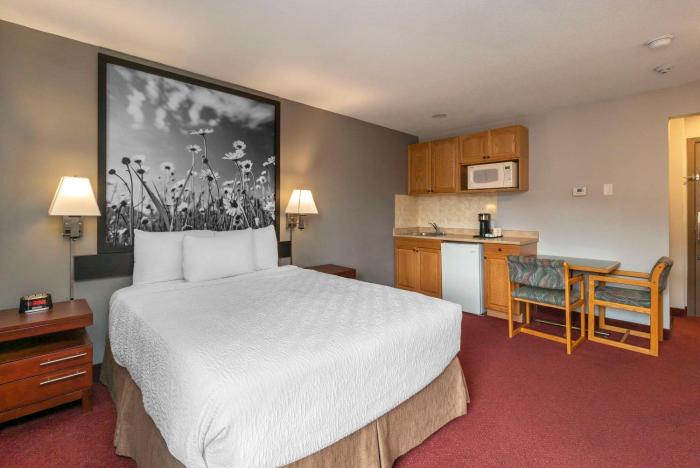 quality inn and suites