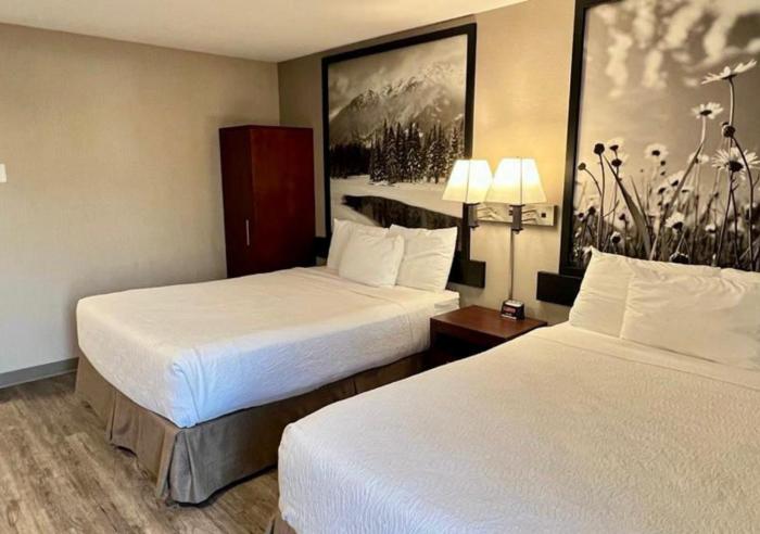 quality inn and suites
