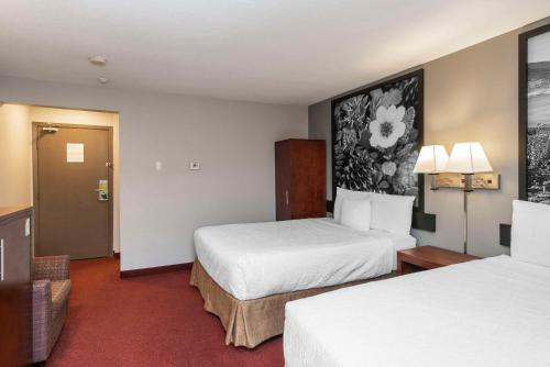 quality inn and suites