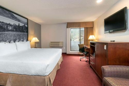 quality inn and suites
