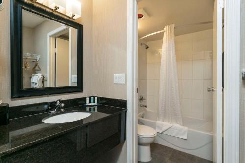 quality inn and suites