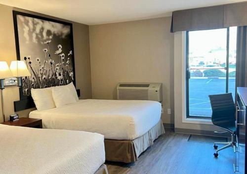 quality inn and suites