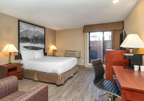 quality inn and suites