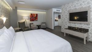 holiday inn express mexico toreo by ihg