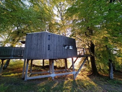letape en foret