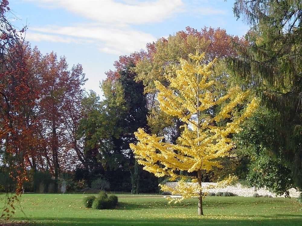 saint laurent des arbres