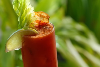 kimpton surfcomber hotel by ihg