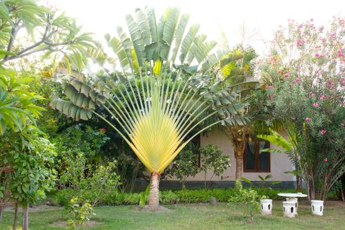 bali oase resort