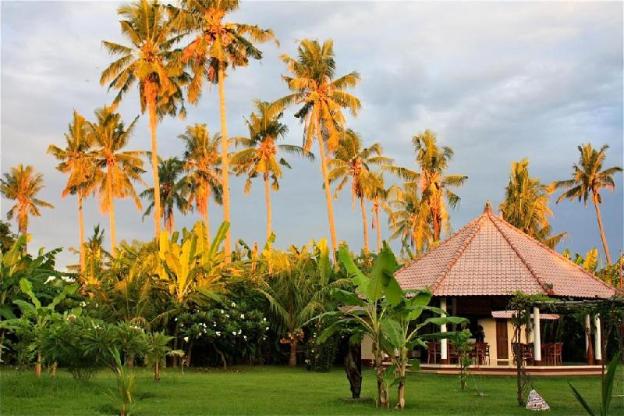 bali oase resort