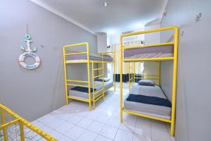 bunk bed and breakfast