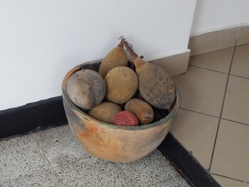 jacaranda guesthouse