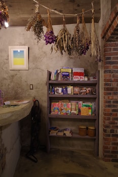 cinnamon guest house dogo hostel