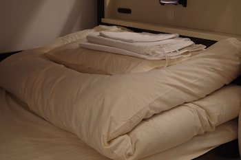 cinnamon guest house dogo hostel