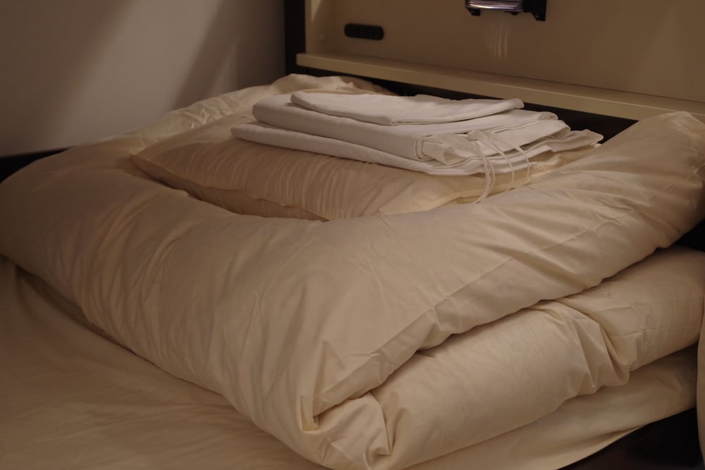 cinnamon guest house dogo hostel