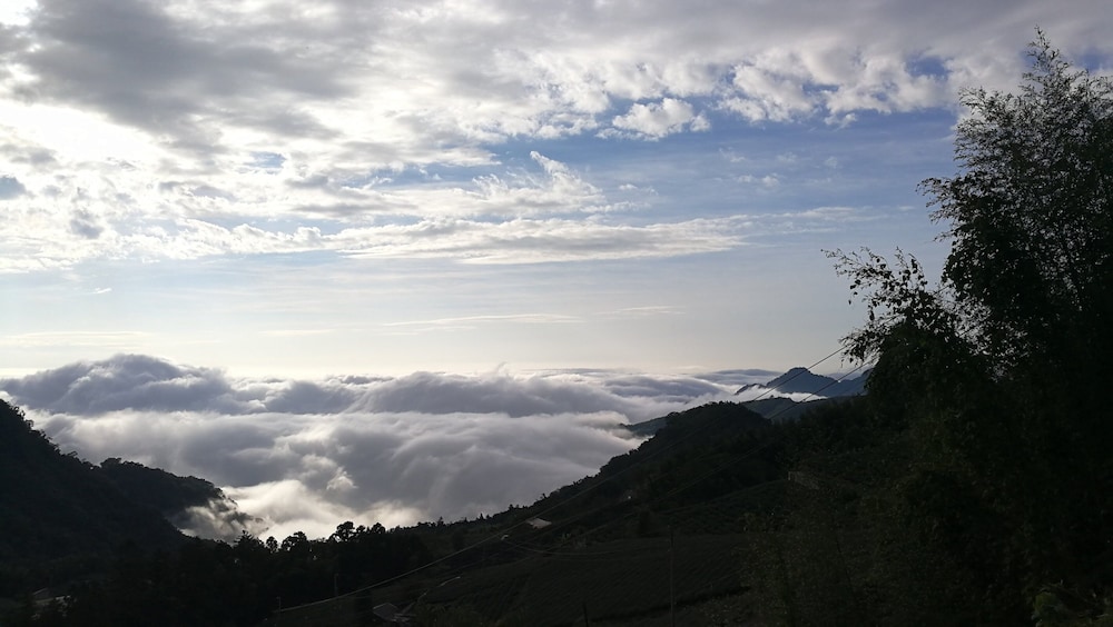 alishan tea homestay