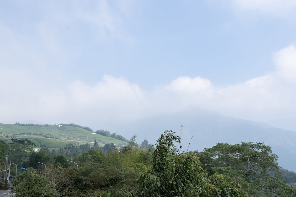 alishan tea homestay