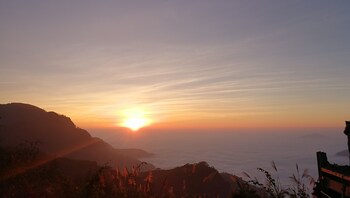 alishan tea homestay
