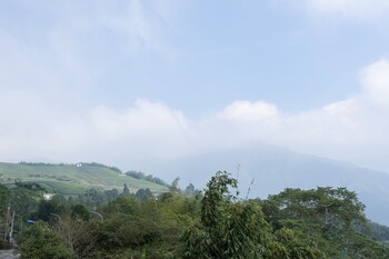 alishan tea homestay