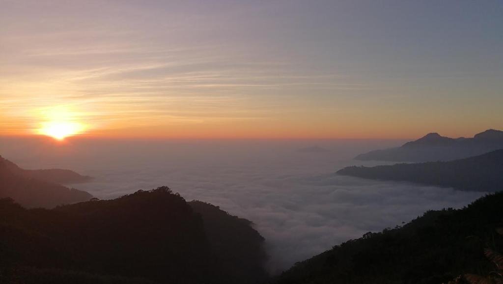 alishan tea homestay
