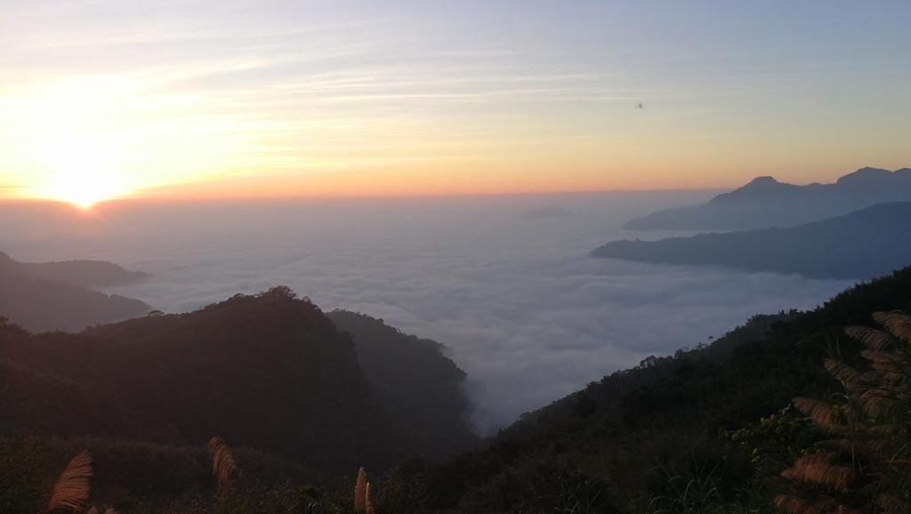 alishan tea homestay