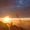 Alishan Tea Homestay,Chiayi>>Alishan,3 star