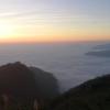 Alishan Tea Homestay,Chiayi>>Alishan,3 star