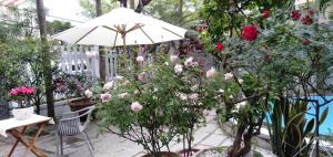 the moon villa hoi an