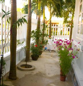 the moon villa hoi an