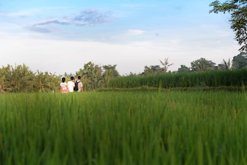 purana boutique resort