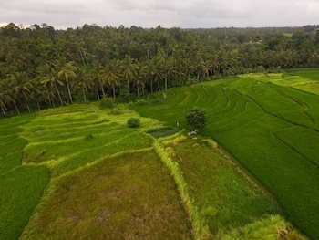 purana boutique resort