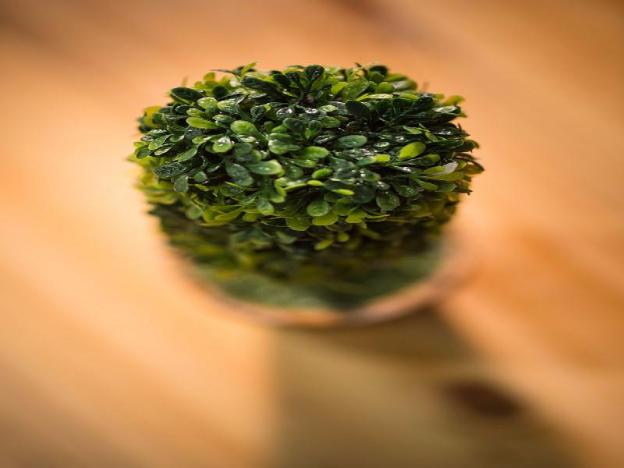 xinshe hotel hsinchu