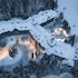 whistler