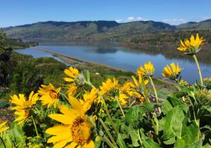 the dalles inn
