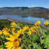the dalles inn