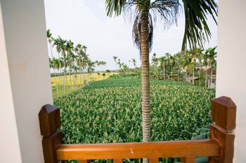 new sunshine homestay